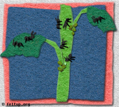 Ant Farm